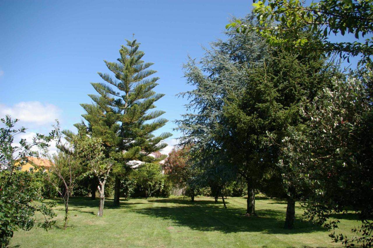 Villa Vivienda Tradicional Con Jardin Y Patio Interior Vilanova de Arousa Exterior foto