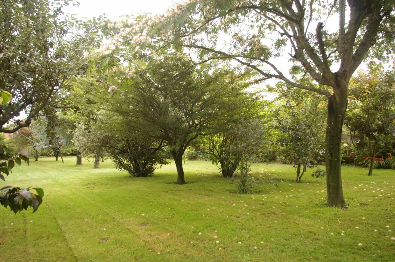 Villa Vivienda Tradicional Con Jardin Y Patio Interior Vilanova de Arousa Exterior foto